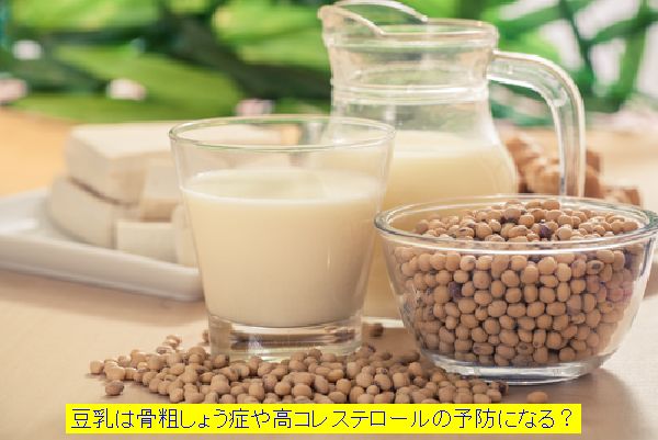 豆乳と大豆1